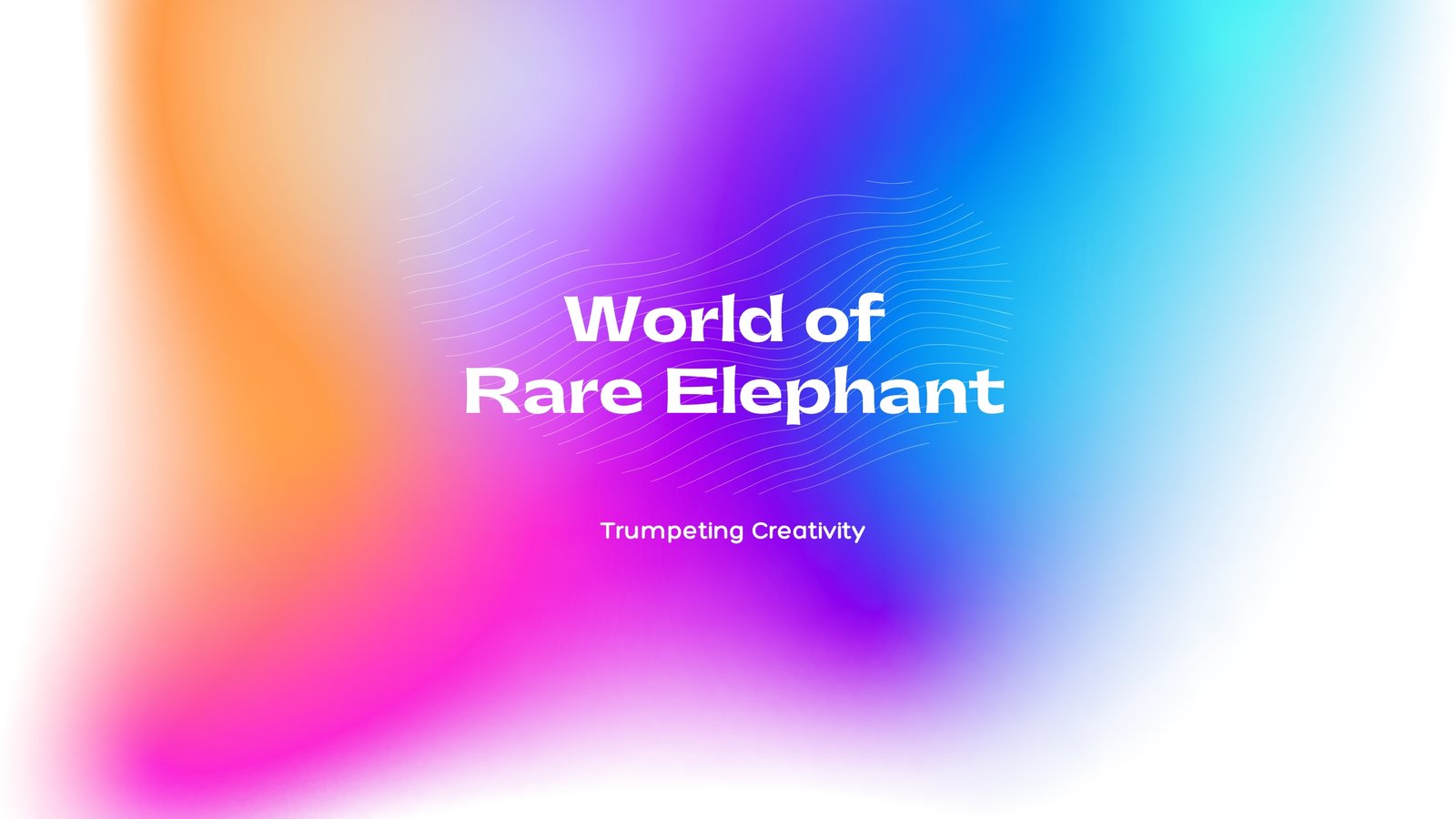 WEB Main Banner (1).JPG